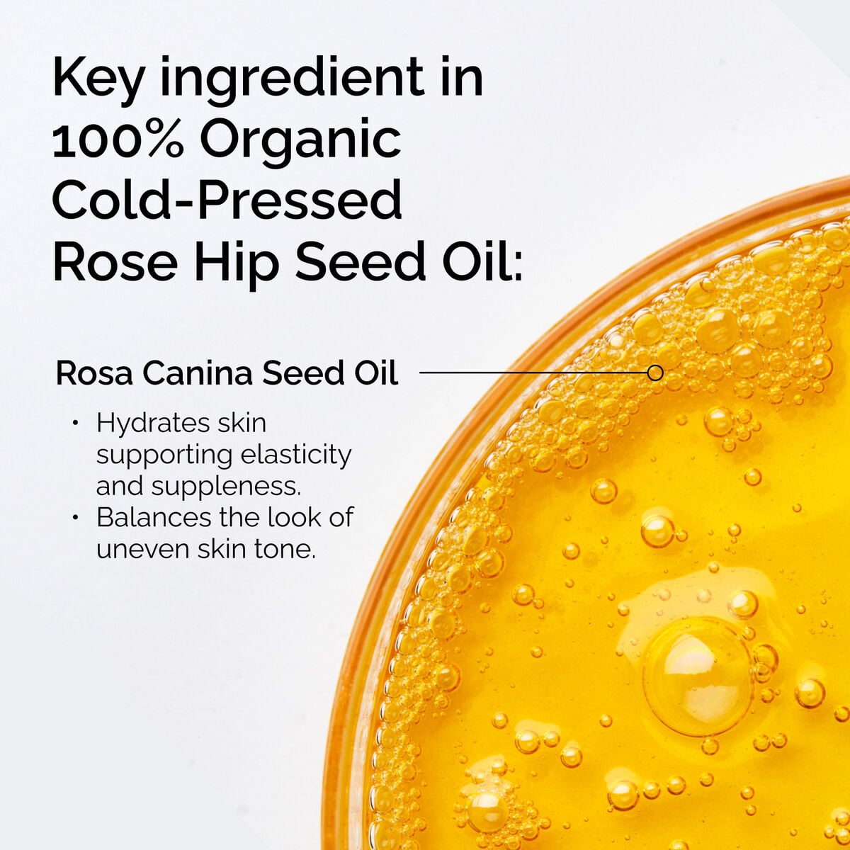 100-organic-cold-pressed-rose-hip-seed-oil-e5 FY25-D41247-ORD-Web-PDP-100-Rose-Hip-Oil-1x1-EN-2.jpg