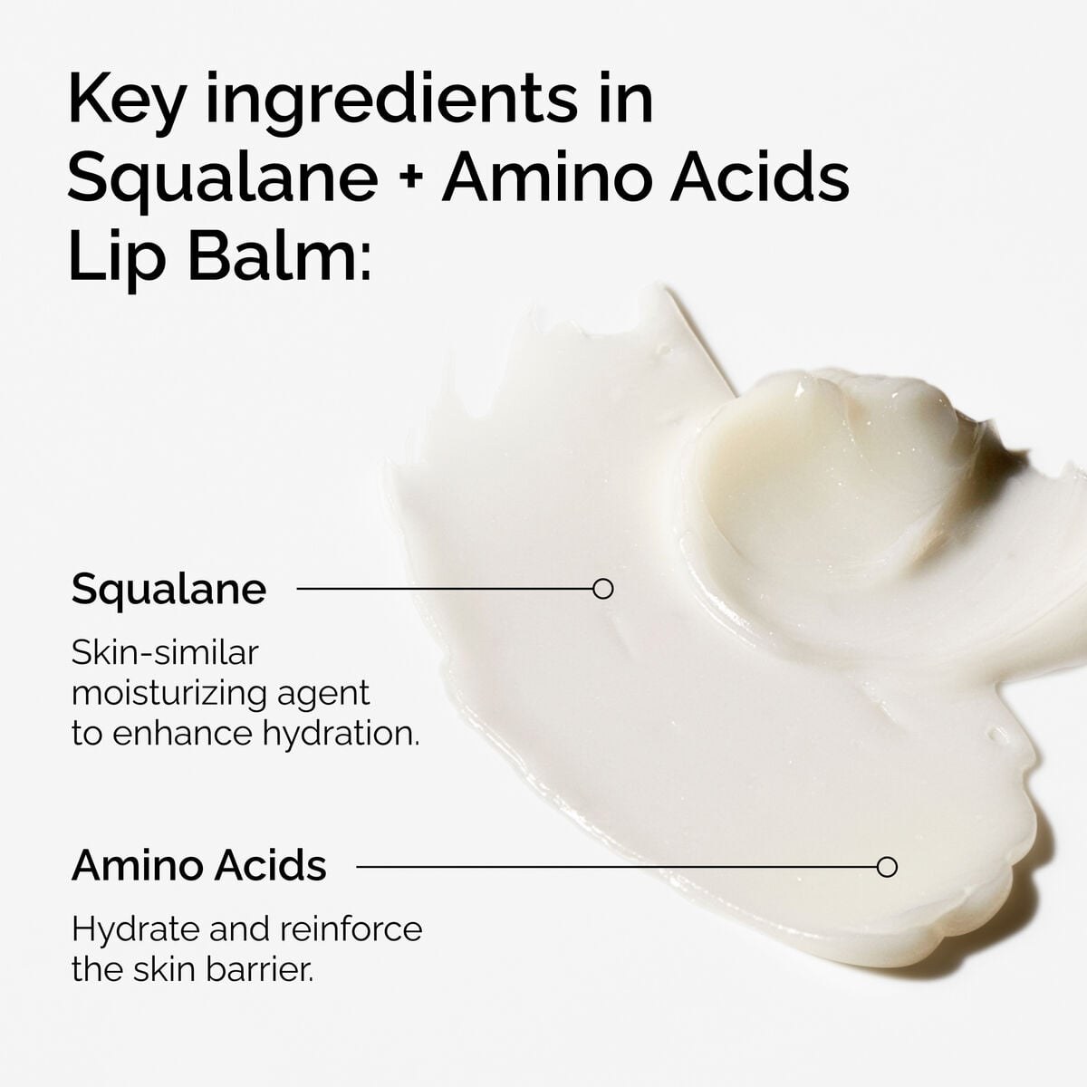 squalane-amino-acids-lip-balm-v1 FY25-D41247-ORD-Web-PDP-Sql-Amino-Lip-1x1-EN-2a.jpg